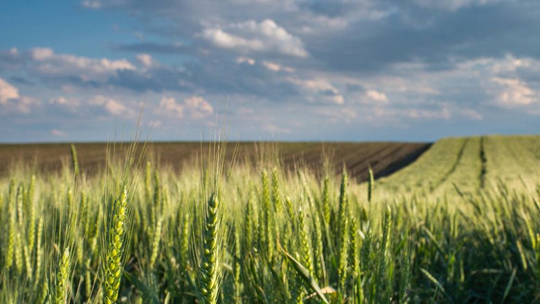 Phosphoric acid mersen