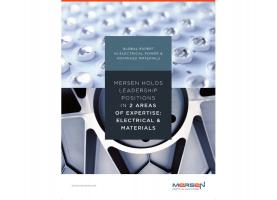 Mersen expertise